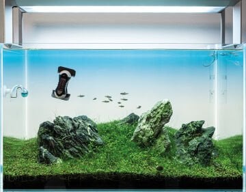 Tunze - 0220.010 Care Magnet Nano