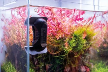 Tunze - 0220.010 Care Magnet Nano