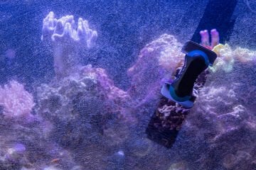 Tunze - 0220.010 Care Magnet Nano