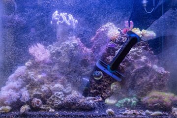 Tunze - 0220.015 Care Magnet Long