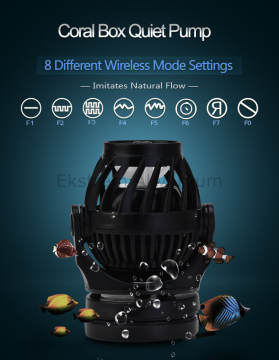 Coral Box - QPS 9