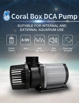 Coral Box - DCA 1200