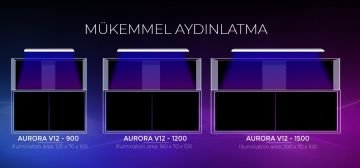 Giesemann - AURORA V12 Pro - 900 mm