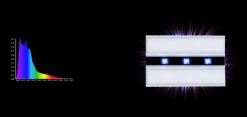 Giesemann - AURORA V12 Pro - 1500 mm