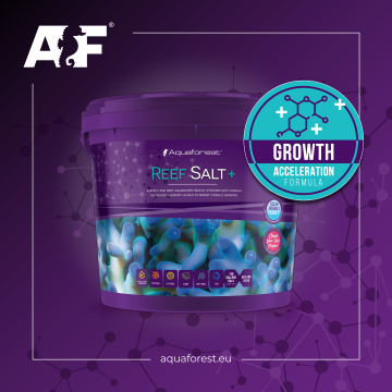Aquaforest - Reef Salt+ 22 kg