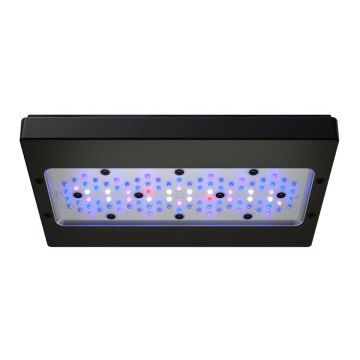 ライト・照明器具 EcoTech Marine Radion XR30 Blue G6 LED EcoTech Marine - Radion - XR30 G6 Blue