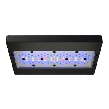 EcoTech Marine - Radion - XR30 G6 Blue