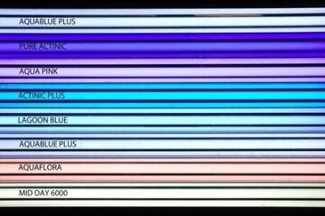 Giesemann - Powerchrome - 24 W Aquablue+ T5