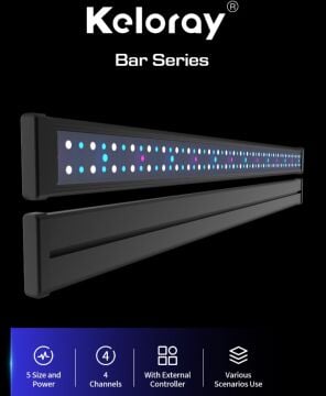 Keloray - Bar 120