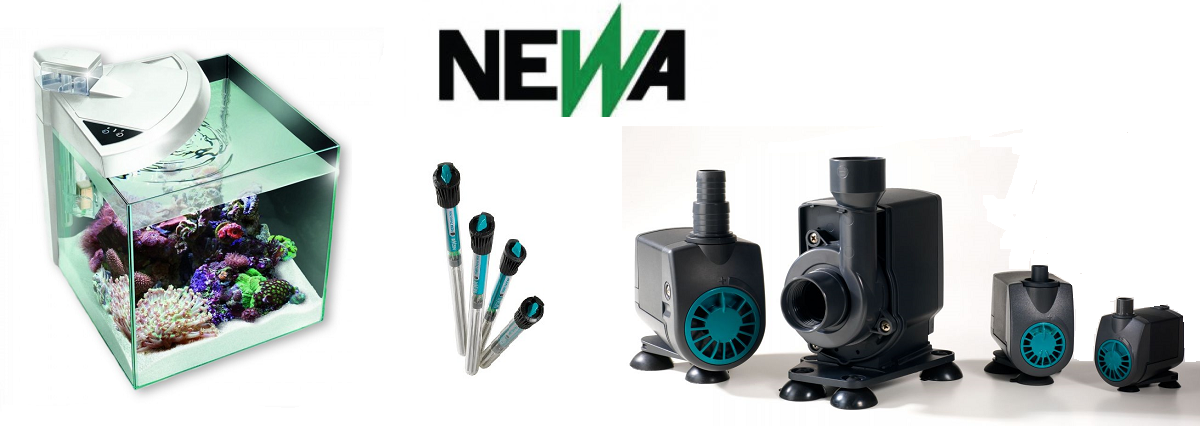newa