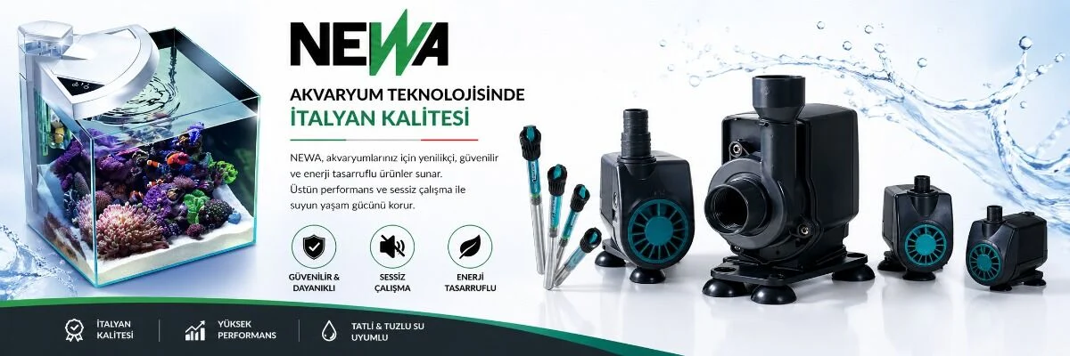 newa