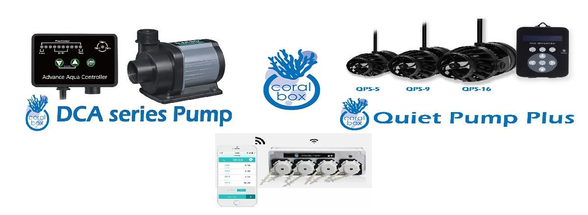 coralbox