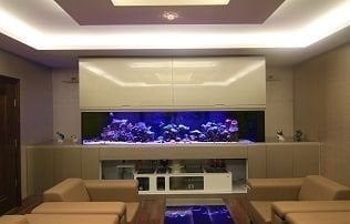 SN. ÖZER YETİŞKİN