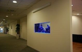 DOĞUŞ HOLDİNG